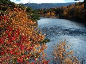 Cape Breton Fall River View