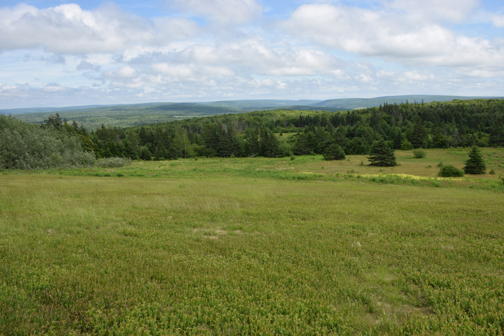 Remote Cape Breton Farm Land :: Cape Breton Land