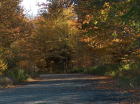 Another view of Beverlys Hill Road