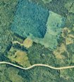 1998 aerial photo showing green shading over 100 acre parcel