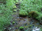 Small stream crosses property.
