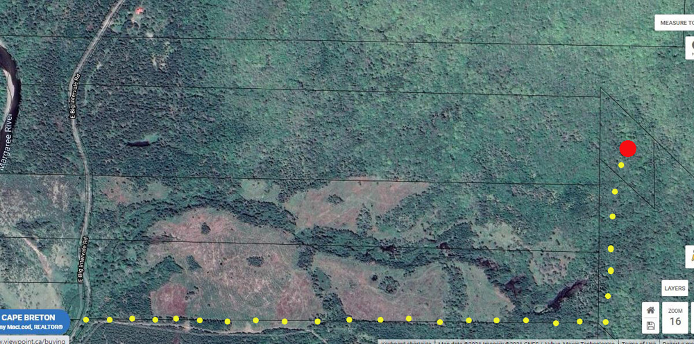 Yellow dots indicates potential access - see also Crown grant sheet image.