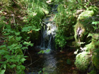 Another small brook on property.