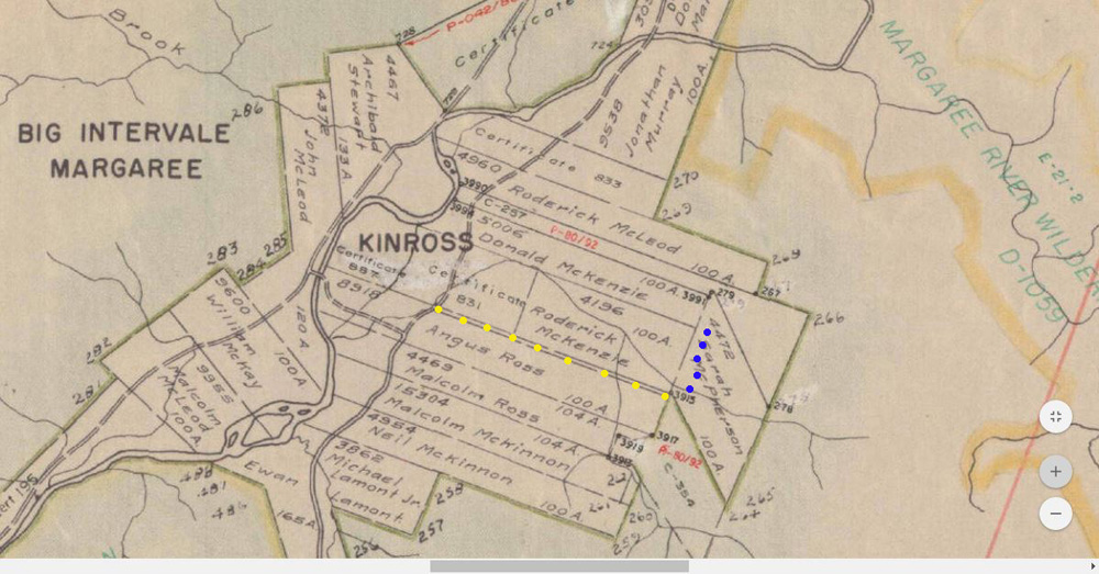 Government Crown land grant sheet. Yellow dots show Crown road reserve as access to the area.  Blue dots reflects deeded access through adjoining crown grant # 4472.