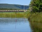 Approximately four feet from the shore of the property, the water is five feet deep.