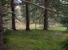 Land view of property for sale near Baddeck.
