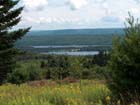 Another view towards Cain's Pond and the Baddeck River