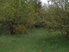 View of 7 acre parcel with apple trees and mixed selection of trees.
