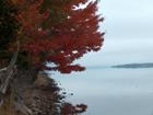 Bras d'or Lakes shoreline at Neil's Shore.