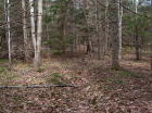 View of wooded 15 acre parcel