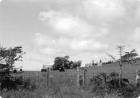 Old picture of farm when it was operating as a small beef farm.