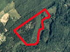 Aerial photo showing location of 11 acre parcel.