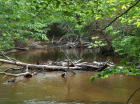 Grande Anse River