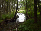 Brook looking down stream.