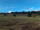 Looking up the hill from the road.