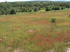 Loooking west downhill from BB1.