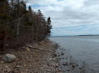 Dull day in early May,2011- waterfront at lot#6