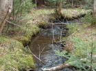 Small brook along southeastern side of property-spring picture.