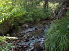 Property has a beautiful brook through the northeast corner.