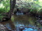 The brook as it comes into property under the road - nice pool.