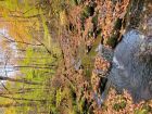 Looking up Blues Brook - taken fall of 2025. Conditions were very dry this summer / fall in Nova Scotia.