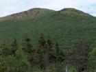 Roberts Mtn. as viewed from the 11 acre property.