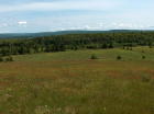 View from top of hill - looking from BB1 to lower Field -June 2012