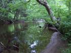 Stillwater on the Grand Anse River at westerly end of 11 acre parcel.