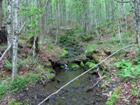 Brook that flows into property