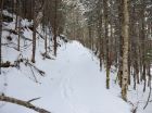 The property features a trail to the brook that could be utilized by ATVs, snowmobiles, etc., as pictured in this wintertime photo.
