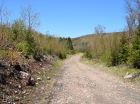 The property can be accessed via this logging road, which is in good condition.