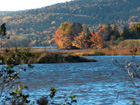 Fall view from the property.