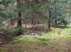 Rock piles - the remains of original farm fields.