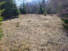 Another section of small field.