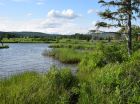 One of the views of Bras d'Or Lake, taken from the property.