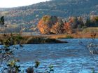 A view from the property on a beautiful fall day.