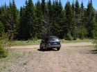 The property is straight ahead in this photo and this area represents a good access point to the lot.