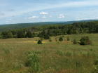 The property for sale can be seen in the distance of this photo, beyond the cleared fields.