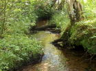 Brook at the rear of Lot #6.