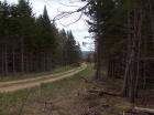View of road - 15 acre parcel is on the right.