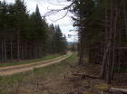 Neil's Shore road -6 acre parcel on the left of road. May 2011 picture