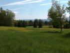 More farm field views.