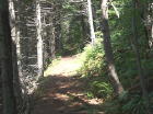 Path to beach.  Access over this path is deeded with the 7 acre parcel.
