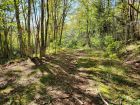 Road at rear of property on unmaintained Government road.