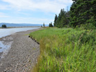 From brook at point looking south - southern boundary is near lone tree.