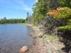 A view of the property's shoreline taken from one end of the lot; the other edge is near the white log in the distance.