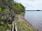 A view of the property's shoreline taken from one end of the lot, the other edge is near the rock that juts into the water.